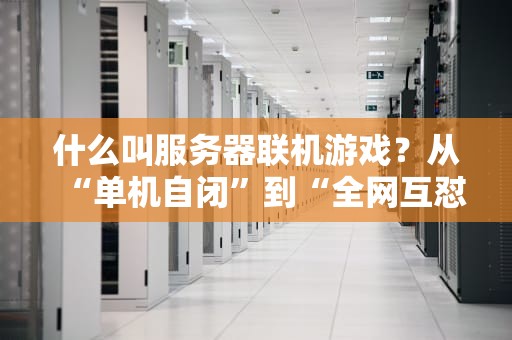 什么叫服务器联机游戏？从“单机自闭”到“全网互怼”的科技进化史！
