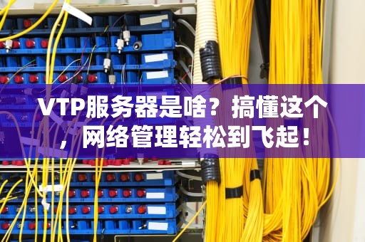 VTP服务器是啥？搞懂这个，网络管理轻松到飞起！