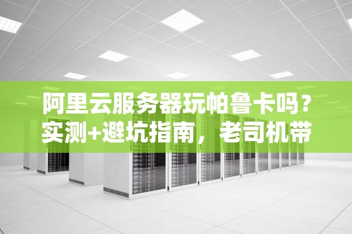 阿里云服务器玩帕鲁卡吗？实测+避坑指南，老司机带你飞！