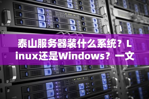 泰山服务器装什么系统？Linux还是Windows？一文教你选对不翻车！