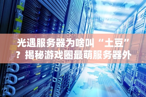 光遇服务器为啥叫“土豆”？揭秘游戏圈最萌服务器外号背后的真相！