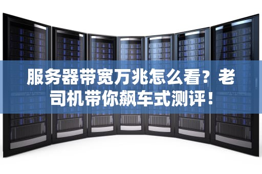 服务器带宽万兆怎么看？老司机带你飙车式测评！