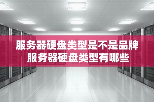 服务器硬盘类型是不是品牌 服务器硬盘类型有哪些