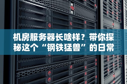 机房服务器长啥样？带你探秘这个“钢铁猛兽”的日常！