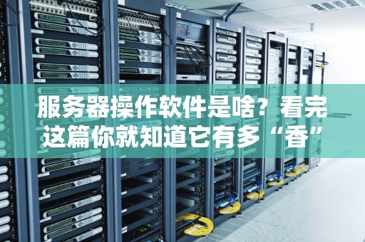 服务器操作软件是啥？看完这篇你就知道它有多“香”了！