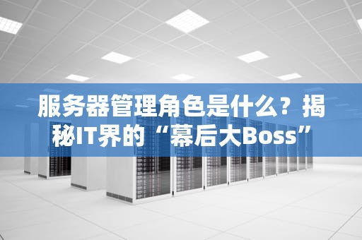 服务器管理角色是什么？揭秘IT界的“幕后大Boss”