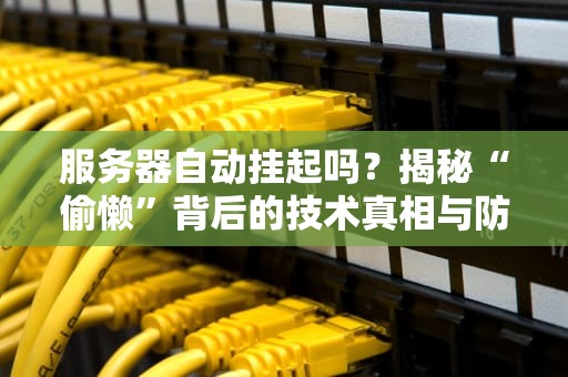 服务器自动挂起吗？揭秘“偷懒”背后的技术真相与防坑指南