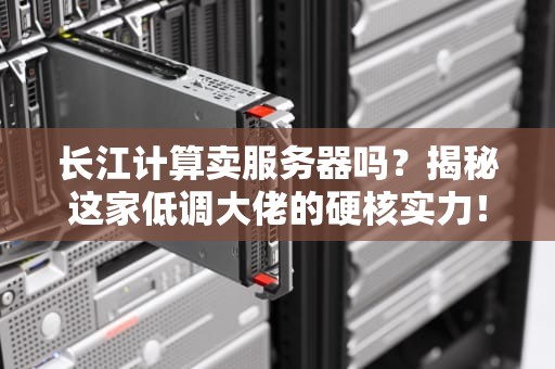 长江计算卖服务器吗？揭秘这家低调大佬的硬核实力！