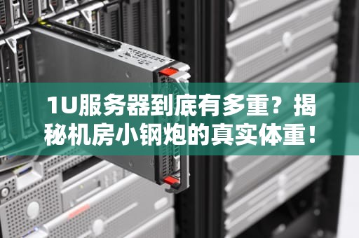 1U服务器到底有多重？揭秘机房小钢炮的真实体重！