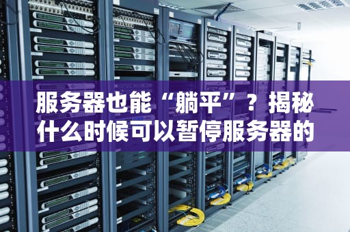服务器也能“躺平”？揭秘什么时候可以暂停服务器的黄金法则！