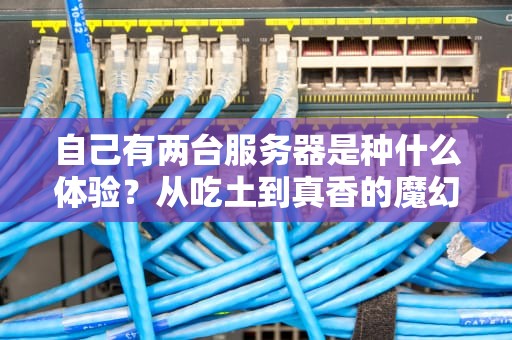 自己有两台服务器是种什么体验？从吃土到真香的魔幻现实主义之旅