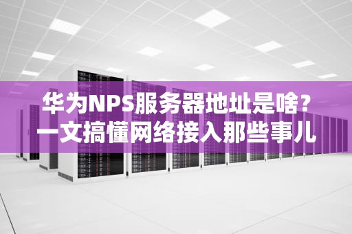 华为NPS服务器地址是啥？一文搞懂网络接入那些事儿！