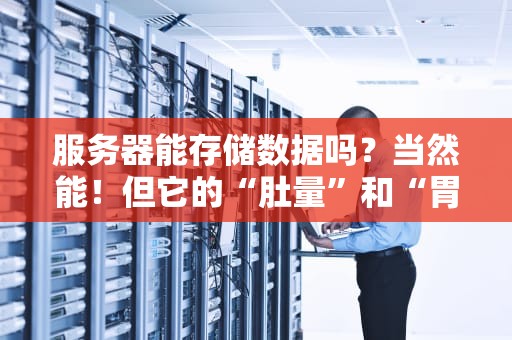 服务器能存储数据吗？当然能！但它的“肚量”和“胃口”你可能想不到！