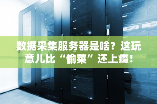 数据采集服务器是啥？这玩意儿比“偷菜”还上瘾！