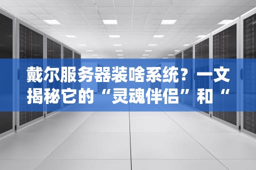 戴尔服务器装啥系统？一文揭秘它的“灵魂伴侣”和“野路子CP”