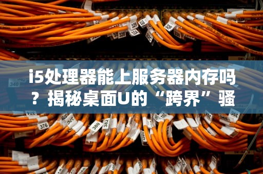 i5处理器能上服务器内存吗？揭秘桌面U的“跨界”骚操作！