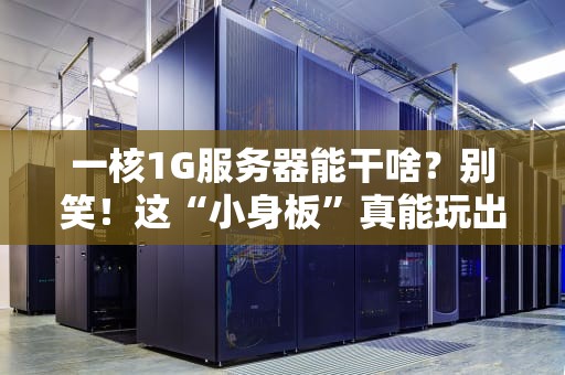 一核1G服务器能干啥？别笑！这“小身板”真能玩出花！