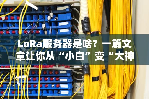 LoRa服务器是啥？一篇文章让你从“小白”变“大神”！
