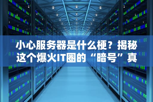 小心服务器是什么梗？揭秘这个爆火IT圈的“暗号”真相！