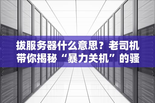 拔服务器什么意思？老司机带你揭秘“暴力关机”的骚操作！