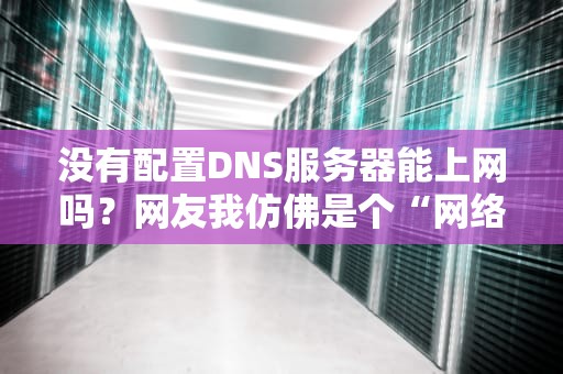没有配置DNS服务器能上网吗？网友我仿佛是个“网络盲流”