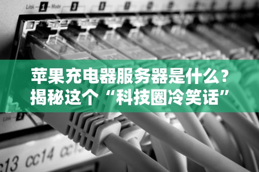 苹果充电器服务器是什么？揭秘这个“科技圈冷笑话”背后的真相！