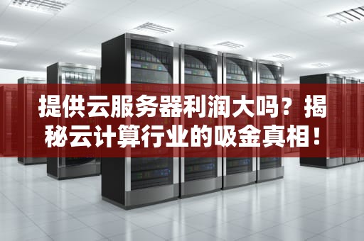 提供云服务器利润大吗？揭秘云计算行业的吸金真相！