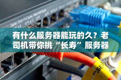 有什么服务器能玩的久？老司机带你挑“长寿”服务器！