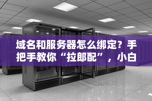 域名和服务器怎么绑定？手把手教你“拉郎配”，小白也能秒变老司机！