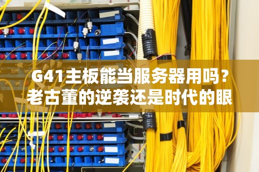 G41主板能当服务器用吗？老古董的逆袭还是时代的眼泪？