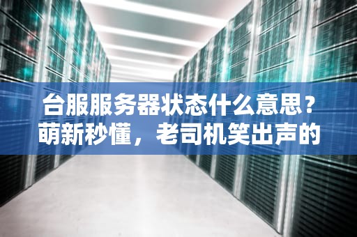 台服服务器状态什么意思？萌新秒懂，老司机笑出声的科普指南！