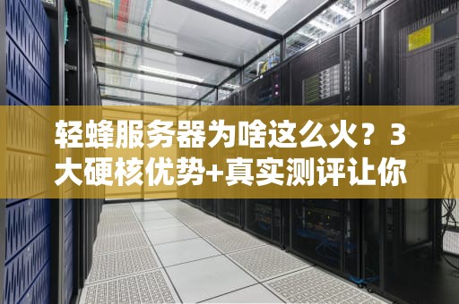 轻蜂服务器为啥这么火？3大硬核优势+真实测评让你秒懂！