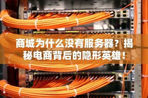 商城为什么没有服务器？揭秘电商背后的隐形英雄！