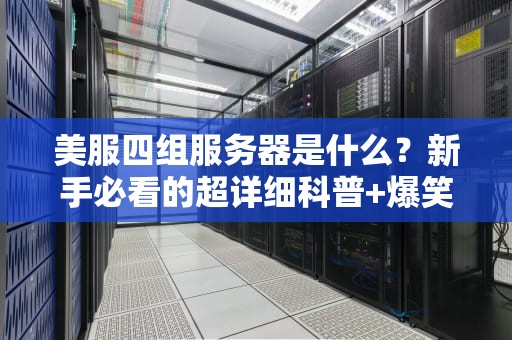 美服四组服务器是什么？新手必看的超详细科普+爆笑测评！