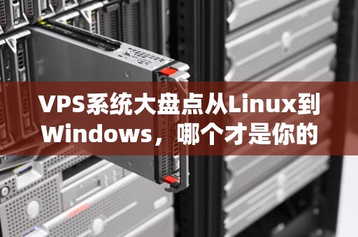 VPS系统大盘点从Linux到Windows，哪个才是你的“真命天子”？