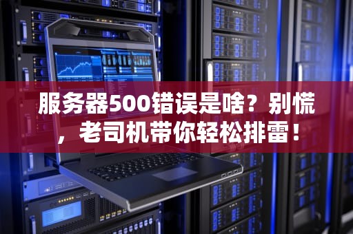 服务器500错误是啥？别慌，老司机带你轻松排雷！