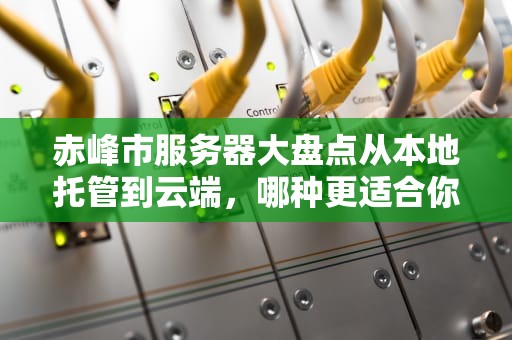 赤峰市服务器大盘点从本地托管到云端，哪种更适合你的业务？
