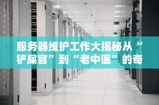 服务器维护工作大揭秘从“铲屎官”到“老中医”的奇幻之旅
