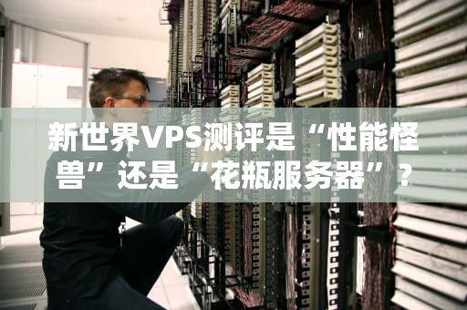 新世界VPS测评是“性能怪兽”还是“花瓶服务器”？用数据说话！