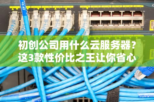 初创公司用什么云服务器？这3款性价比之王让你省心又省钱！