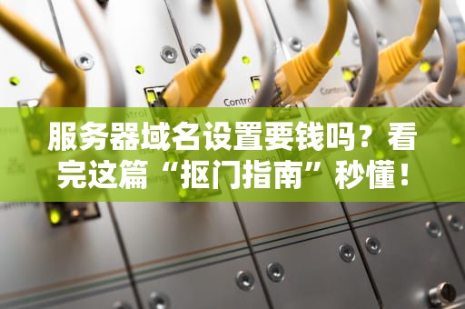 服务器域名设置要钱吗？看完这篇“抠门指南”秒懂！