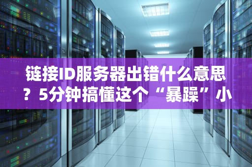 链接ID服务器出错什么意思？5分钟搞懂这个“暴躁”小问题！
