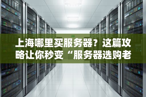 上海哪里买服务器？这篇攻略让你秒变“服务器选购老司机”！