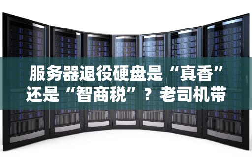 服务器退役硬盘是“真香”还是“智商税”？老司机带你避坑捡漏！