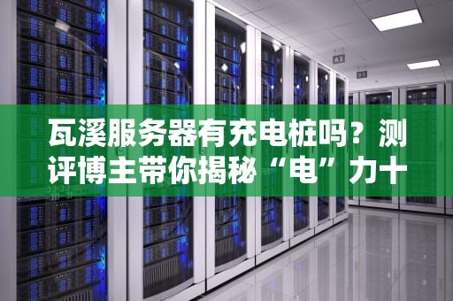 瓦溪服务器有充电桩吗？测评博主带你揭秘“电”力十足的机房真相！