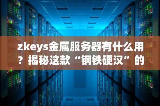 zkeys金属服务器有什么用？揭秘这款“钢铁硬汉”的五大神技！