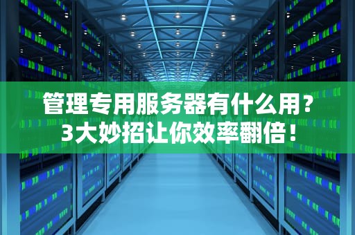 管理专用服务器有什么用？3大妙招让你效率翻倍！