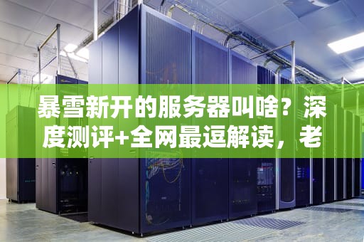 暴雪新开的服务器叫啥？深度测评+全网最逗解读，老司机速上车！