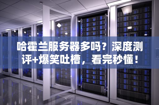 哈霍兰服务器多吗？深度测评+爆笑吐槽，看完秒懂！