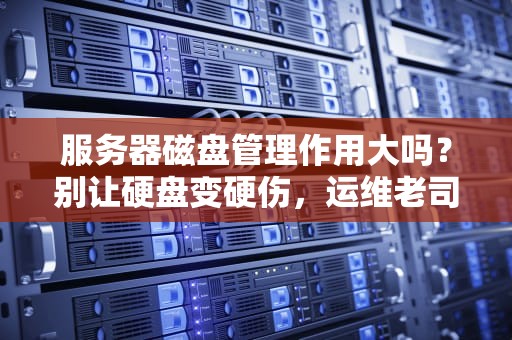 服务器磁盘管理作用大吗？别让硬盘变硬伤，运维老司机带你飙车！
